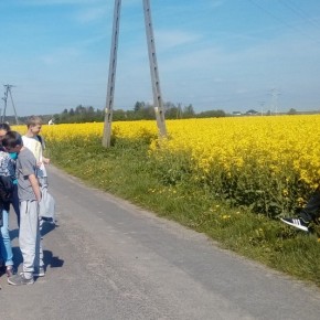 20170513_101128 — kopia